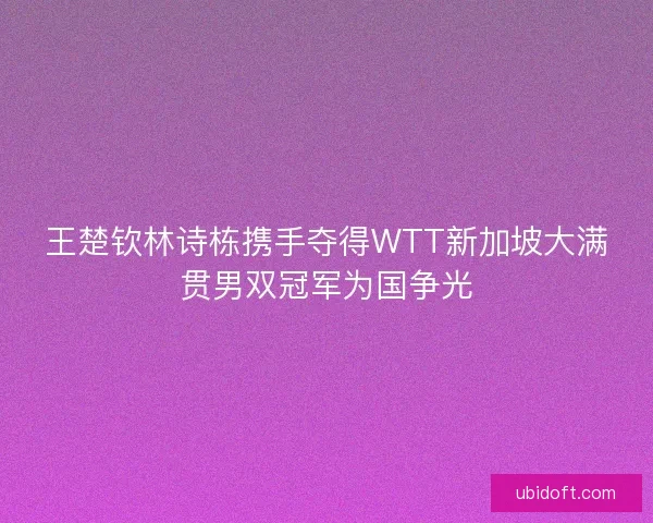 王楚钦林诗栋携手夺得WTT新加坡大满贯男双冠军为国争光