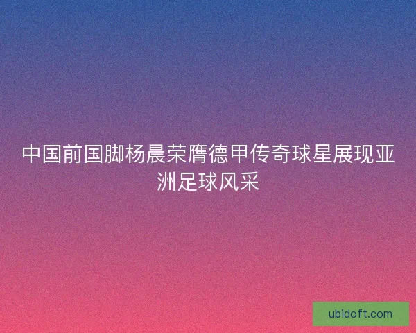 中国前国脚杨晨荣膺德甲传奇球星展现亚洲足球风采